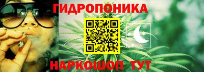гидра Апшеронск