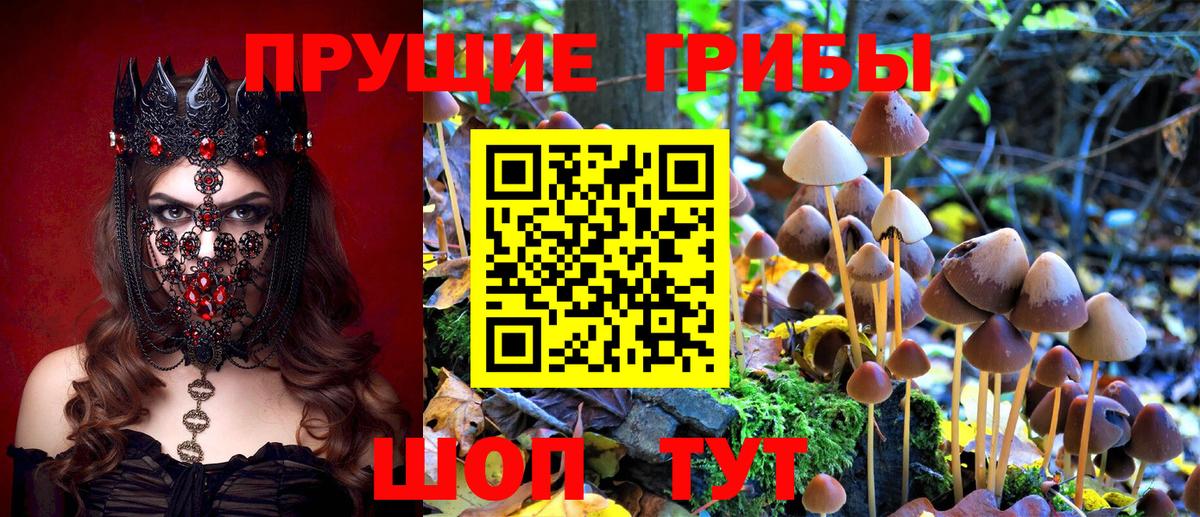 Галлюциногенные грибы MAGIC MUSHROOMS  Галлюциногенные грибы Psilocybe  Вход с VPN  Вышний Волочёк 